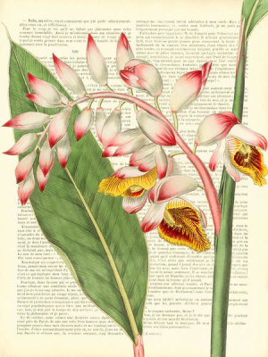 Remy Dellal - Vintage Botany II