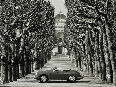 Gasoline Images - Roadster in tree lined road, Paris (BW)