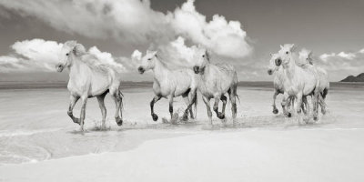 Pangea Images - Band of Brothers, Lanikai Beach, Hawaii (BW)