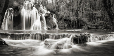 Pangea Images - Waterfall in a forest (BW)