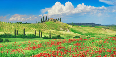 Frank Krahmer - Farmhouse with Cypresses and Poppies, Val d'Orcia, Tuscany