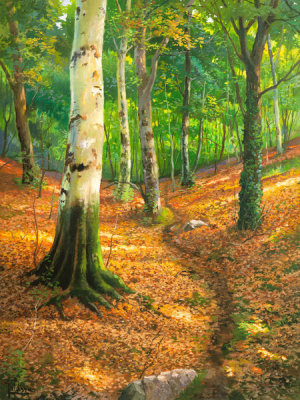 Adriano Galasso - Sentiero nel bosco