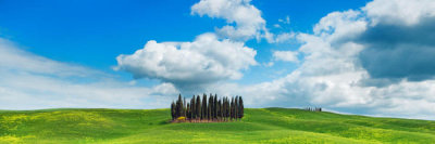Frank Krahmer - Cypresses, Val d'Orcia, Tuscany