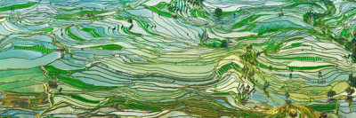 Frank Krahmer - Rice Terraces, Yunnan, China