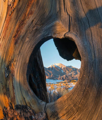 Tim Fitzharris - Mount Herard framed by hole in tree, Great Sand Dunes National Park, Colorado
