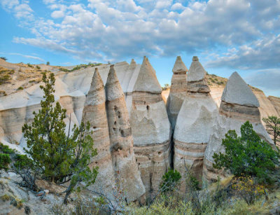 Tim Fitzharris - Ponderosa Pine tree and eroded rock formation, Kasha-Katuwe Tent Rocks National Monument, New Mexico