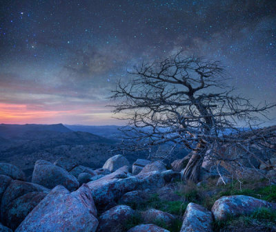 Tim Fitzharris - Pine tree at night, Mount Scott, Wichita Mountains National Wildlife Refuge, Oklahoma