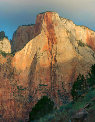 Tim Fitzharris - Towers of the Virgin, Zion National Park, Utah