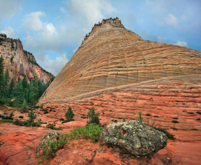 Tim Fitzharris - Checkerboard Mesa, Zion National Park, Utah