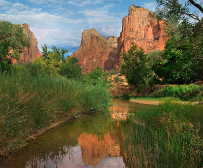 Tim Fitzharris - Virgin River, Court of the Patriarchs, Zion National Park, Utah