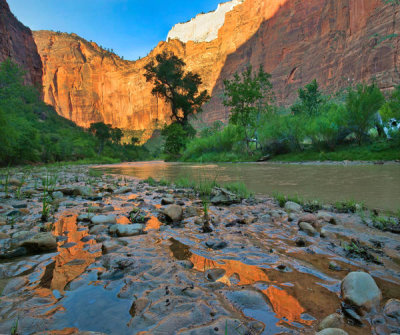 Tim Fitzharris - Reflections in Virgin River after flooding, Zion National Park, Utah