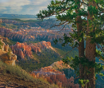 Tim Fitzharris - Hoodoos, Bryce Point, Bryce Canyon National Park, Utah