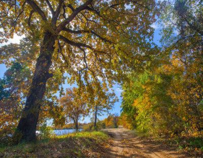 Tim Fitzharris - Lake road in autumn, Trinidad Lake, Texas
