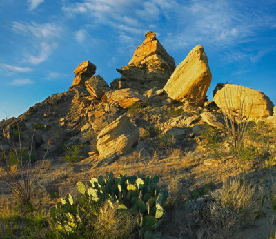 Tim Fitzharris - Cactus and rock formation, Big Bend National Park, Texas