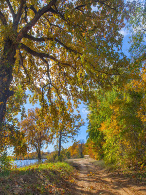 Tim Fitzharris - Lake road in autumn, Trinidad Lake, Texas