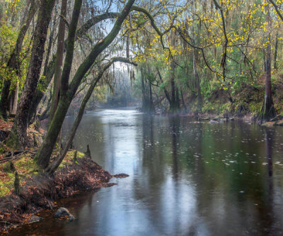 Tim Fitzharris - River, Santa Fe River, O'Leno State Park, Florida