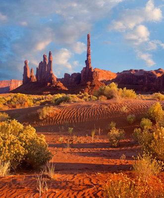 Tim Fitzharris - Totem Pole and Yei Bi Chei formations, Monument Valley, Utah