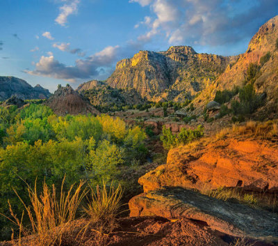 Tim Fitzharris - Cottonwood trees and mountains, Palo Duro Canyon State Park, Texas