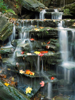 Tim Fitzharris - Cascade on Kitchen Creek, Ricketts Glen State Park, Pennsylvania