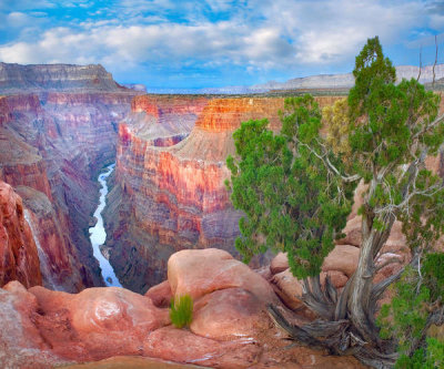 Tim Fitzharris - Colorado River, Grand Canyon National Park, Arizona