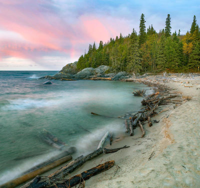 Tim Fitzharris - Driftwood along Horseshoe Bay, Pukaskwa National Park, Ontario, Canada