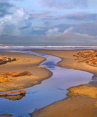Tim Fitzharris - Kalaloch Beach, Olympic National Park, Washington
