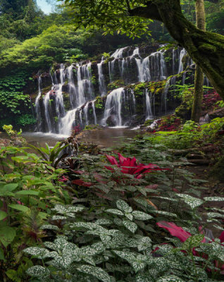 Tim Fitzharris - Banyu Wana Amertha Waterfall, Bali, Indonesia