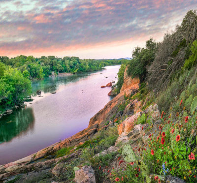 Tim Fitzharris - Indian Blanket flowers and Opuntia cactus above river, Inks Lake State Park, Texas