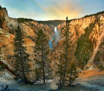 Tim Fitzharris - Conifers and Lower Yellowstone Falls, Yellowstone River, Grand Canyon of Yellowstone, Yellowstone National Park, Wyoming