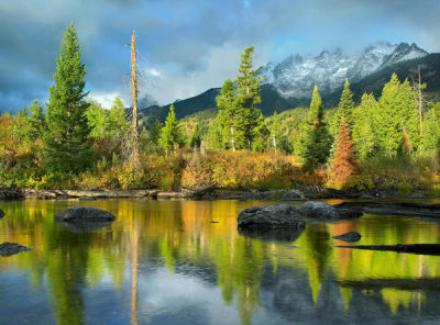 Tim Fitzharris - Conifers along river, Mount Saint John, Grand Teton National Park, Wyoming