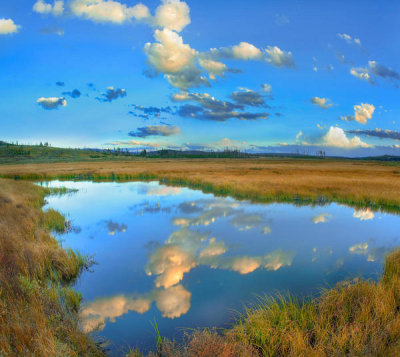 Tim Fitzharris - Clouds reflected in lake, Swan Lake Flat, Yellowstone National Park, Wyoming