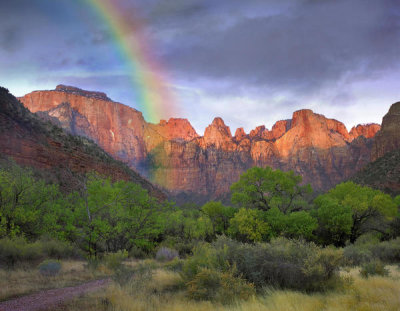 Tim Fitzharris - Rainbow at Towers of the Virgin, Zion National Park, Utah