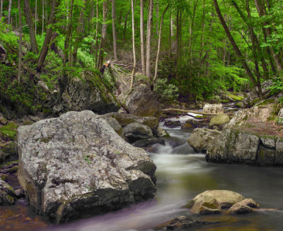 Tim Fitzharris - Little Stony Creek, Jefferson National Forest, Virginia