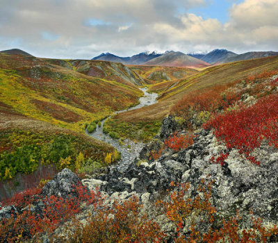 Tim Fitzharris - Tundra and river in autumn, Ogilvie Mountains, Tombstone Territorial Park, Yukon, Canada