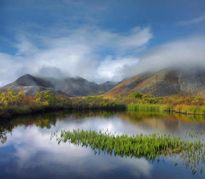 Tim Fitzharris - Mist over pond and Ogilvie Mountains, Tombstone Territorial Park, Yukon, Canada