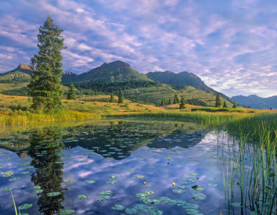 Tim Fitzharris - Turkshead Peak and Grand Turk reflected in lake, Molas Pass, Colorado