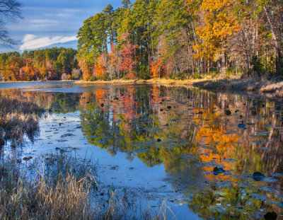 Tim Fitzharris - Trees along lake in autumn, Daingerfield State Park, Texas