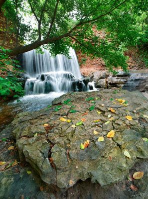 Tim Fitzharris - Waterfall, Tanyard Creek, Arizona
