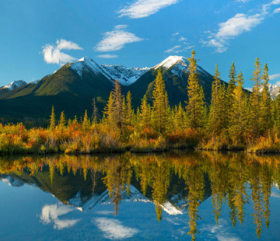 Tim Fitzharris - Taiga and peaks, Sundance Range, Vermilion Lakes, Banff National Park, Alberta, Canada