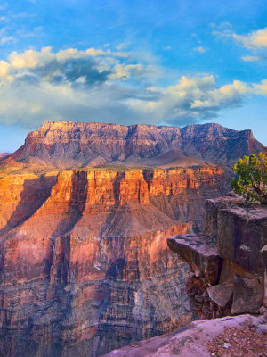 Tim Fitzharris - Grand Canyon, Grand Canyon National Park, Arizona