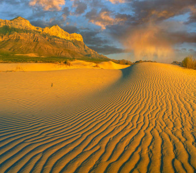 Tim Fitzharris - Sand dunes, Gypsum Dunes, Guadalupe Mountains National Park, Texas