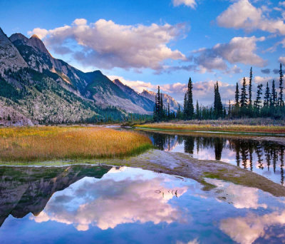 Tim Fitzharris - Colin Range and Snaring River, Jasper National Park, Alberta, Canada