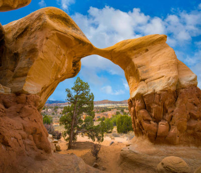 Tim Fitzharris - Metate Arch, Devil's Garden, Utah