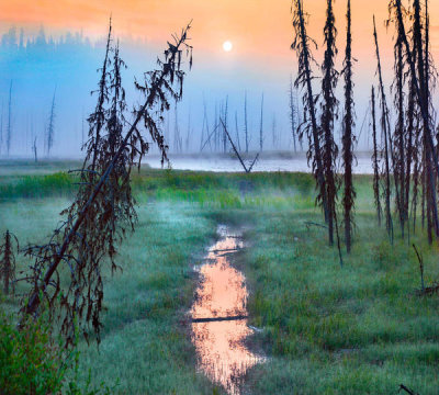 Tim Fitzharris - Sunrise over bog, Bear Lake, British Columbia, Canada