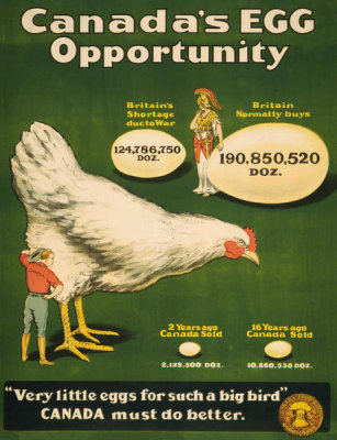 Canada Food Board - Canada's Egg Opportunity - Wartime Agricultural Production Poster, 1914
