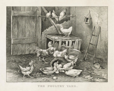 Currier and Ives - The Poultry Yard, 1869