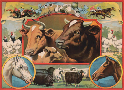 Unknown 19th Century American Printer - Livestock Exhibition, 1895