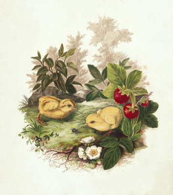 Olive E. Whitney - Chicks and Strawberries, 1875
