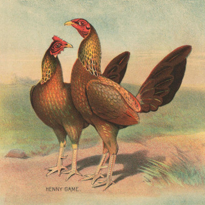 Stetcher Lith. Co., Rochester, N.Y. - Henny Game - Detail of Full sheet poultry hanger. No. 23