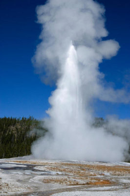 Carol Highsmith - Old Faithful Geyser, Yellowstone National Park, Wyoming, 2005
